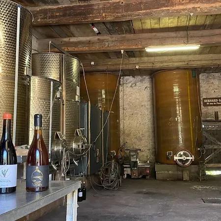 De Maison Et Piscine Dans Un Domaine Viticole